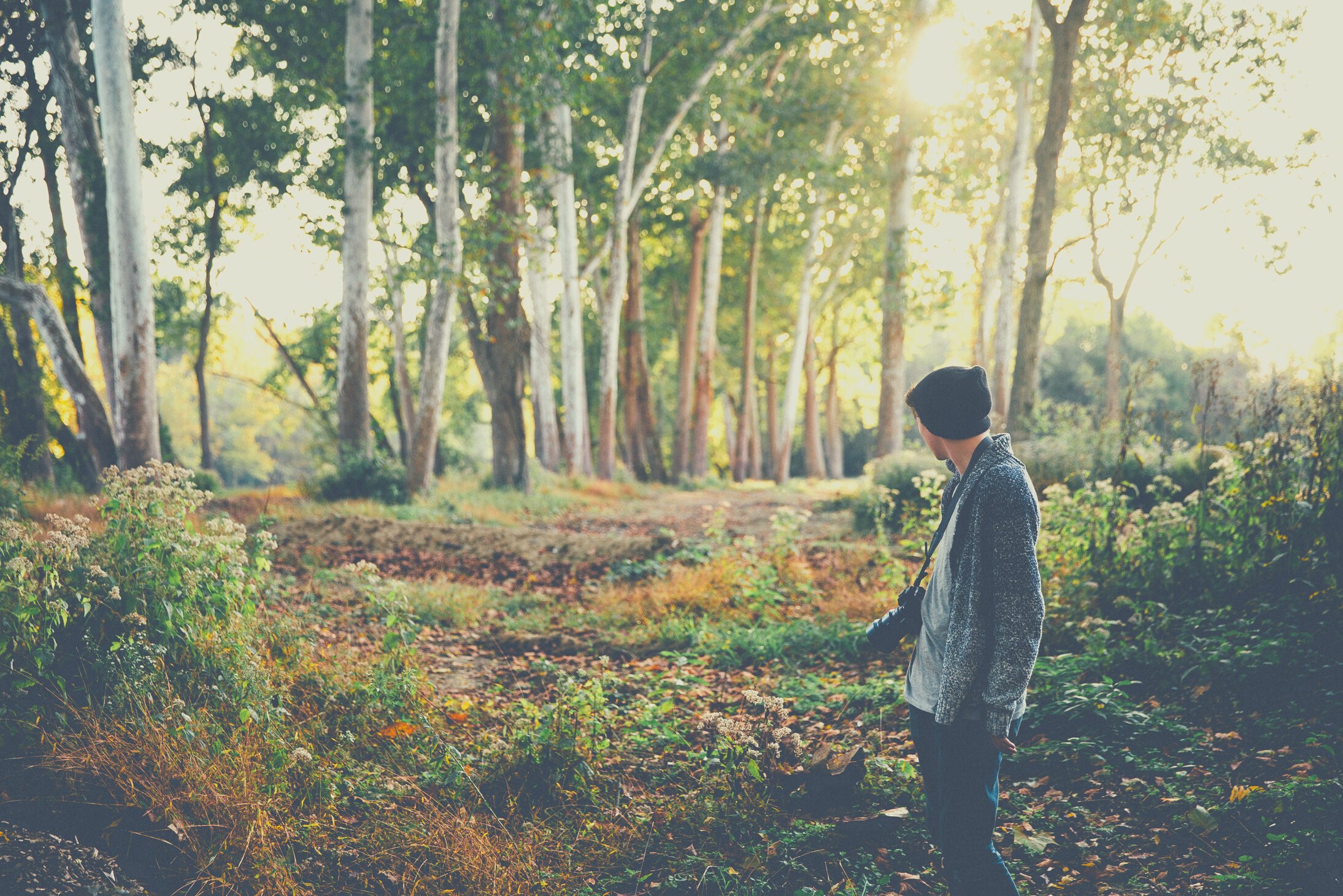 Man in forest